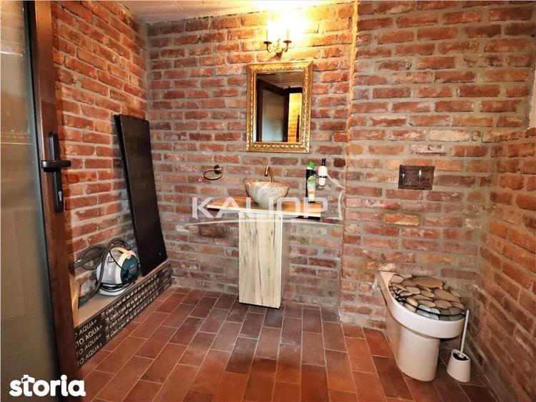 Casa individuala | 8 camere | 1200 mp | Piscina | Crama | Garaj | Fage - 15