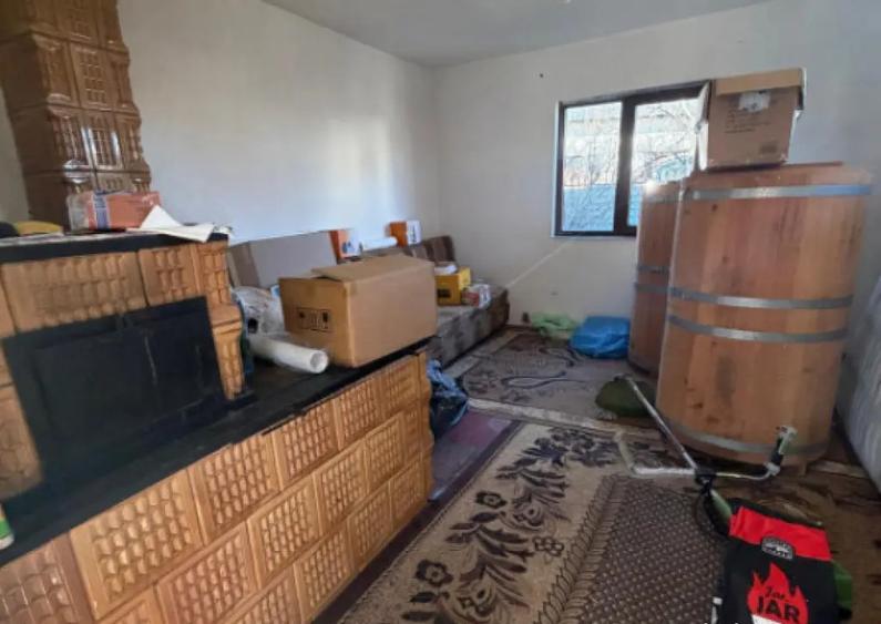 Casa batraneasca , teren 1100mp , centru Horodnic de Jos - 7