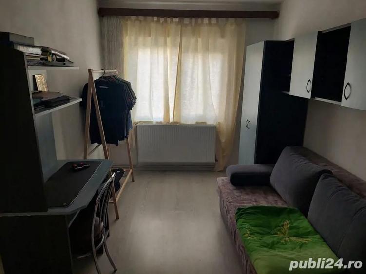 Apartament Buzias - 8