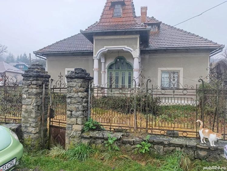 Casa 200 mp + intravilan 2 ha - 4