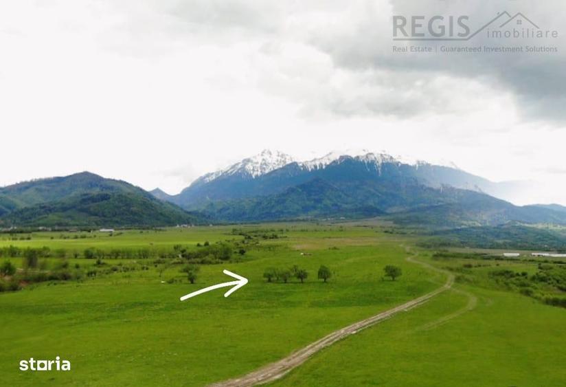 Investitie: 1 Ha Teren intre Rasnov si Bran, Panorama Bucegi - 5