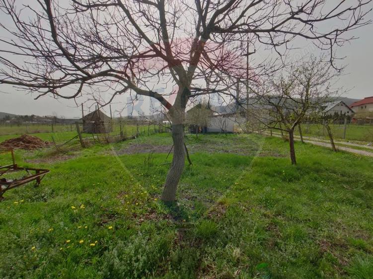 Casa / Vila cu 4 camere de vanzare in zona Sud - 8