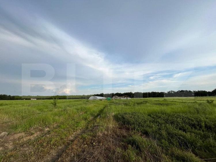 Teren partial intravilan 23.500 mp, apa, curent si supraveghere video, Bucovat - 6