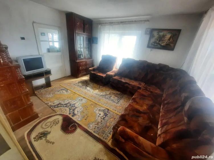 Proprietar vand casa Hemeius - 4