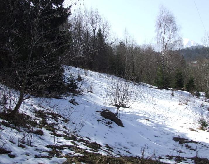 Teren Cioplea Predeal - 2