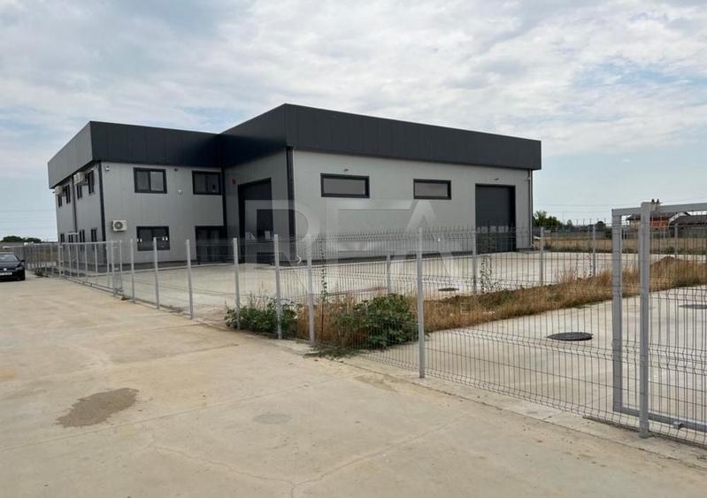 Hala de inchiriat in Domnesti / Centura - 3