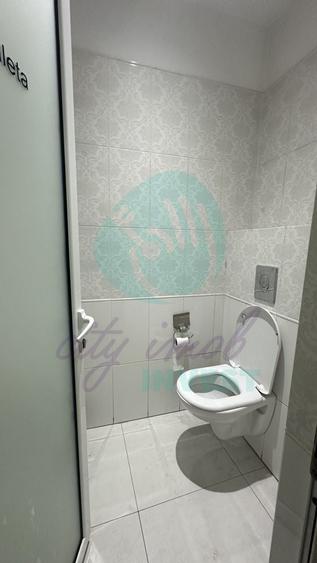 Spatiu Comercial CALEA MOSILOR - 10