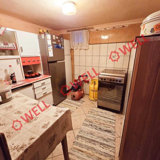 Casă familiară de vânzare în Bixad! - 14