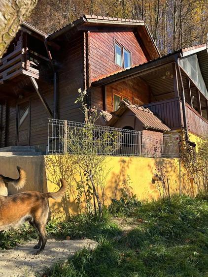 Casa de vacanta cu padure si livada - 7