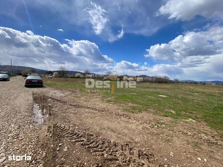 Teren de vanzare Dumbrava Rosie 20.000 Euro 900mp - 8
