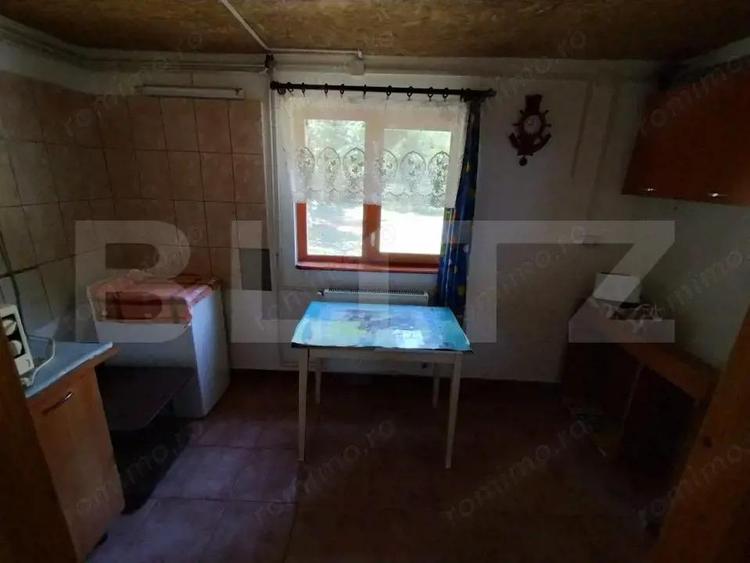 Cabana 4 camere Lunca Bradului - 11