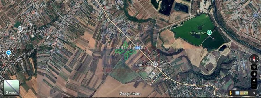 De Vanzare Teren 400 mp cu Autorizatie de contructie Adunatii Copaceni Giurgiu