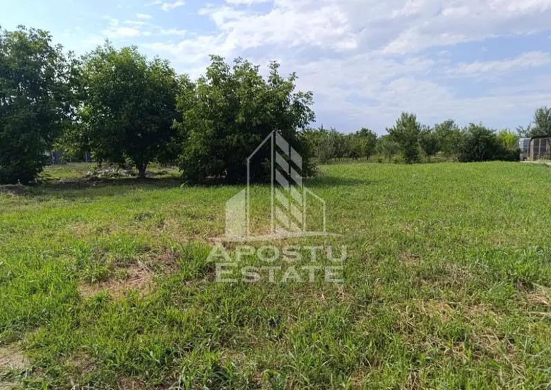 Teren intravilan in vatra satului Giarmata Vii de 683 mp - 1