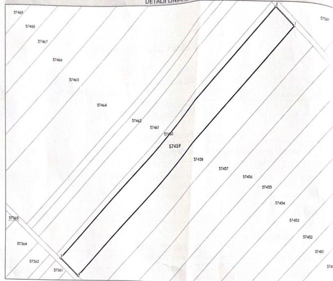 Teren intravilan Cornetu Ilfov - 1