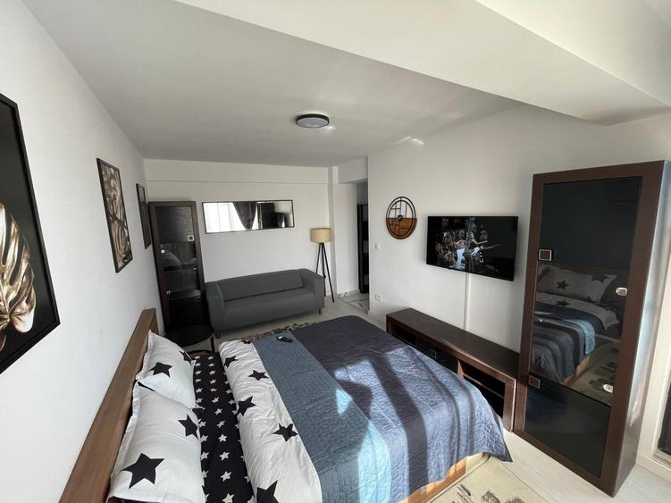 Apartament cu 1 camera Visan - 4