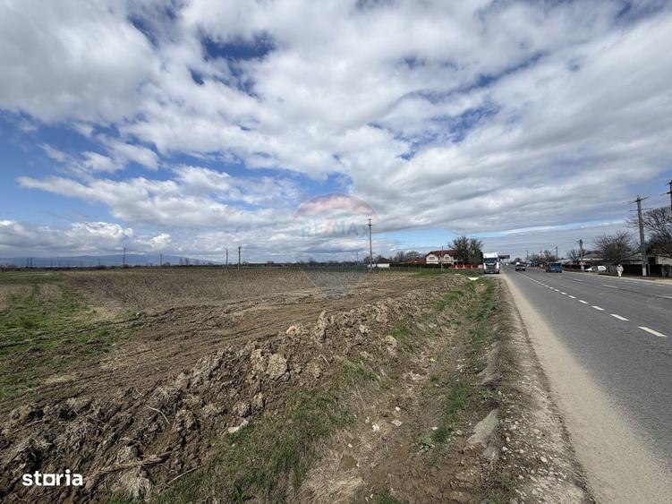 Teren 9,431mp Bizighesti / DJ 205E - 4