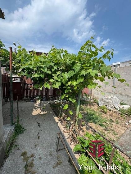 CASA DE VANZARE - INEL 1 - 3 CAMERE+ANEXE - - 15