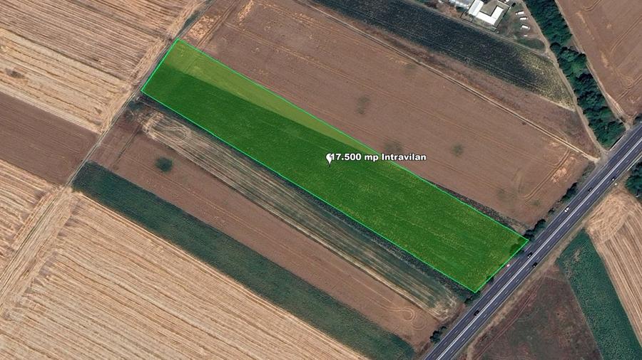Extravilan, 17500 mp, Sag, Timis, DN69 - 1
