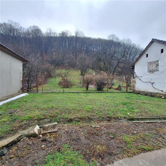 Bocsa Montana, Casa mare la strada principala - 2