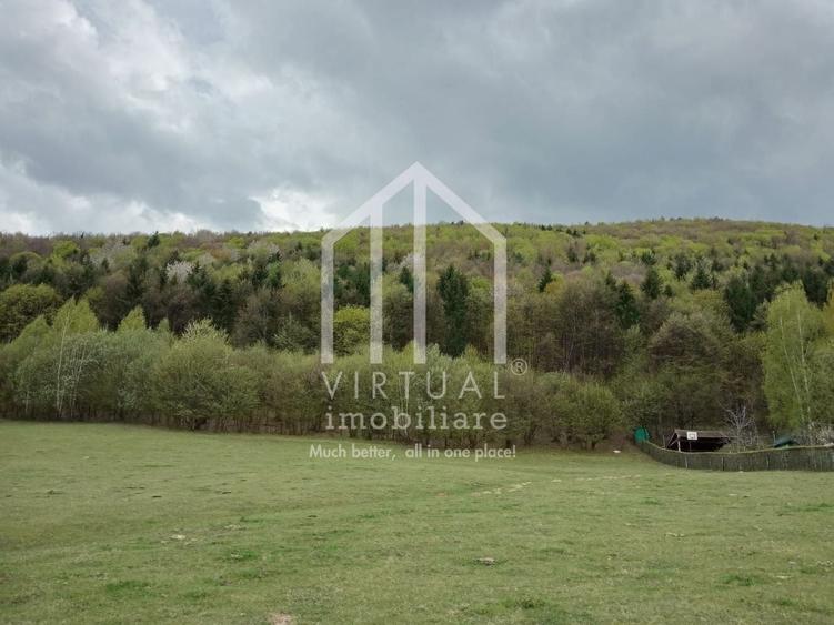 Teren intravilan de vanzare in Tocile, 3862 mp, priveliste spre padure - 1