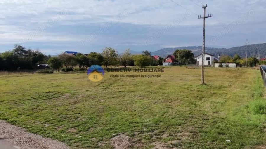 Teren de vanzare 1800 mp Dumbrava Ro?ie - 9