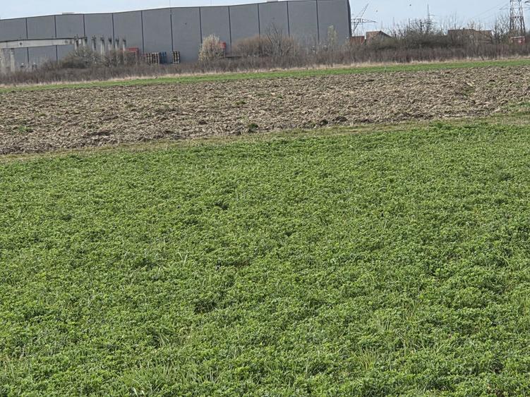 Vand teren extravilan la capatul strazii Aleco Russo in spate la noul CBA - 6