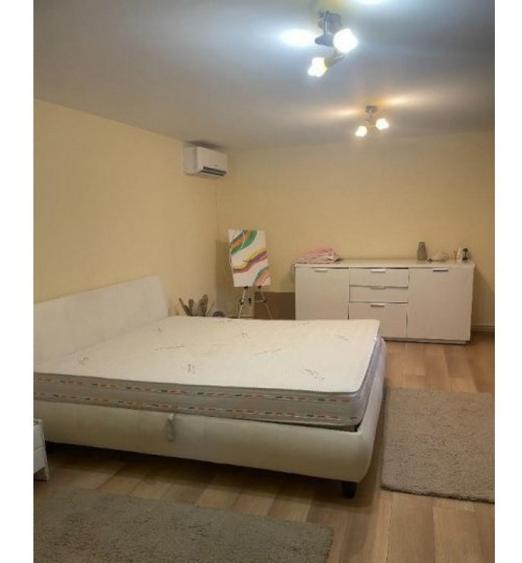 Inchiriere Vila P+1+M in Jilava - 4
