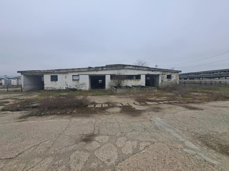 VAND HALA 2000 MP - 4