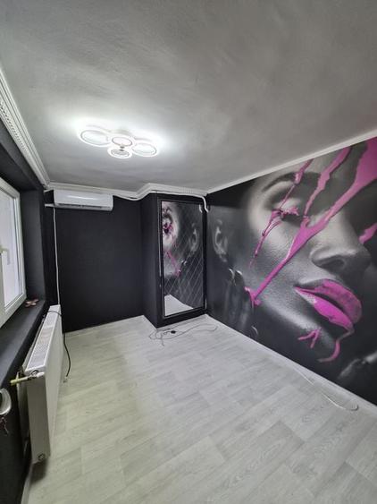 De vânzare Vilă individuala 11 camere curte proprie Parcul Carol - 38