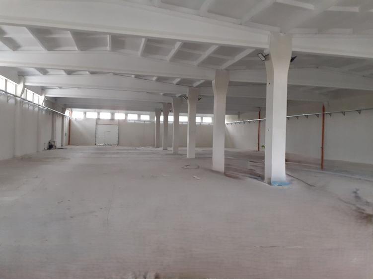 Hala cu birouri si teren, Jilava, centura Bucuresti - 1