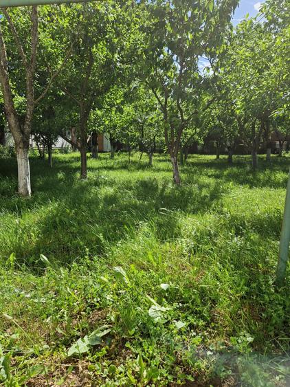 Casă cu 6 camere cu Canalizare în Breaza