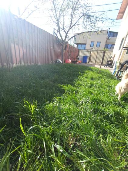 Vila de vanzare Colentina - Fundeni - 2