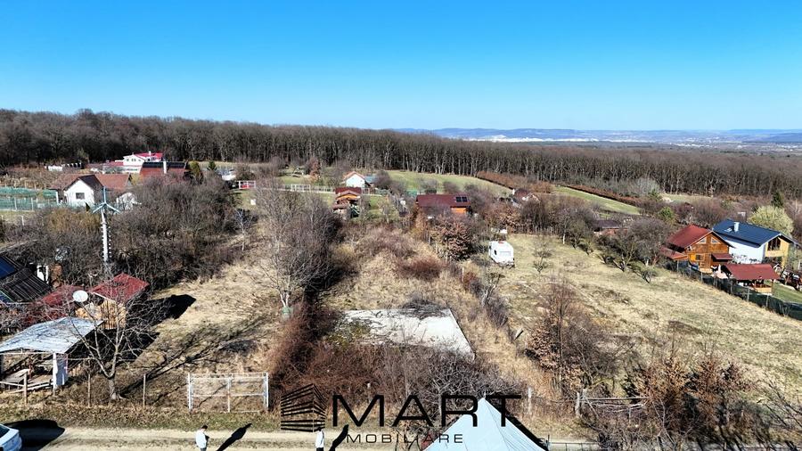 Teren intravilan 1100mp Tropinii Noi - 3