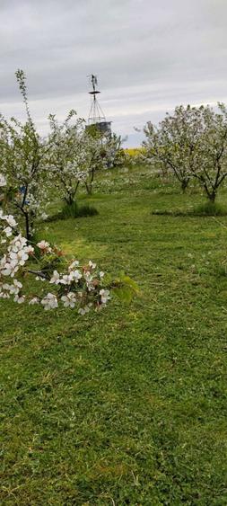 Vand 3 locuri de casa de 1500 m patrati fiecare, intravilan - 1