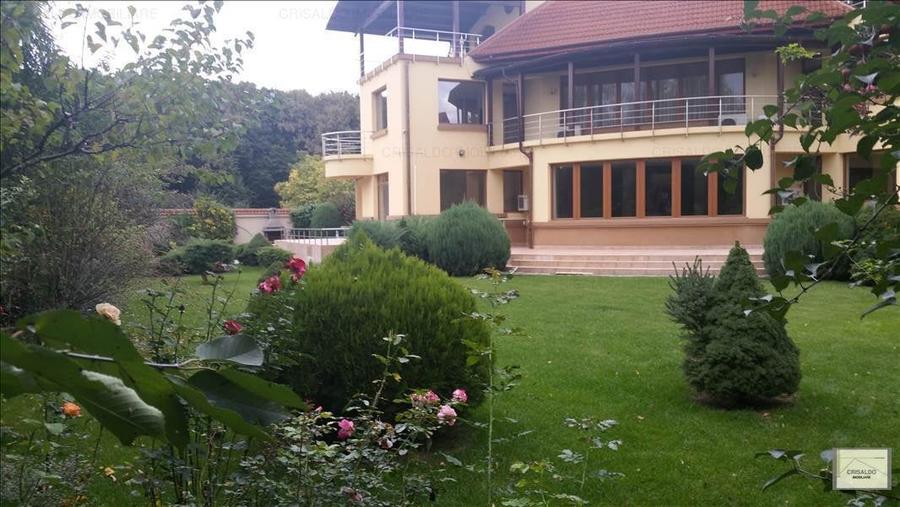 Proprietate impresionanta Padurea Baneasa - Iancu Nicolae - 1