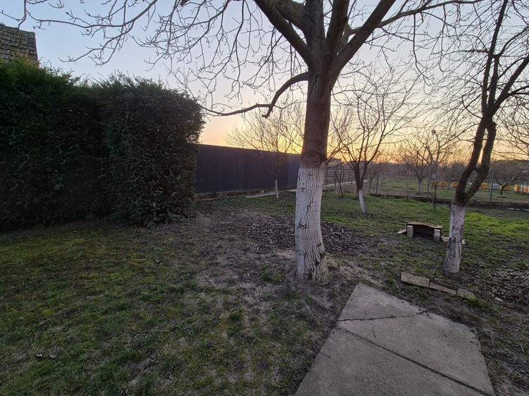 Casă la sol utilata, Micălaca, teren 765 mp, front 27 m, 0% comision - 19