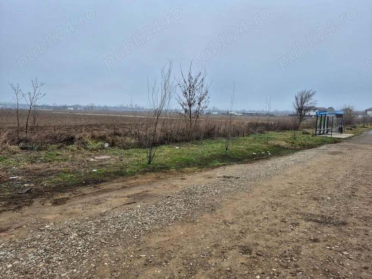 vanzari terenuri - 2