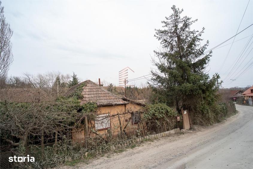 Teren de 900 mp, în Podgoria