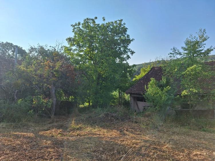 Teren Construcții intravilan de 2880 mp, în Mustești