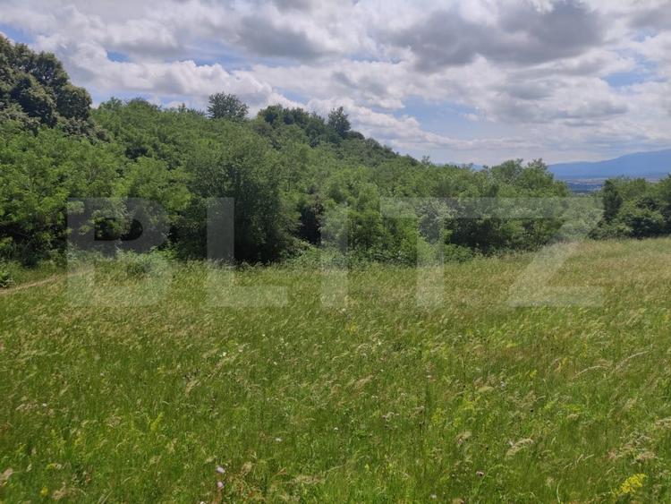 Teren agricol extravilan de 28500 mp, în Gușterița