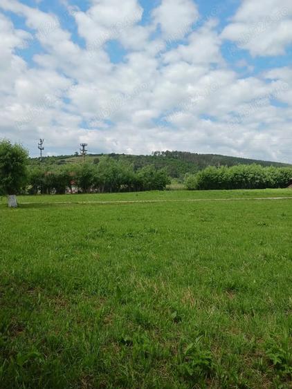 Teren de 2000 mp, în Moacșa