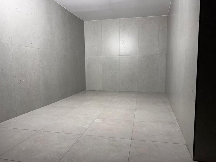 Spatiu Comercial 336 mp - Ultracentral, Piata Victoriei (Investitie) - 4
