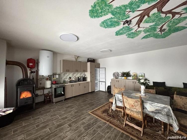 Cabana de inchiriat - 3