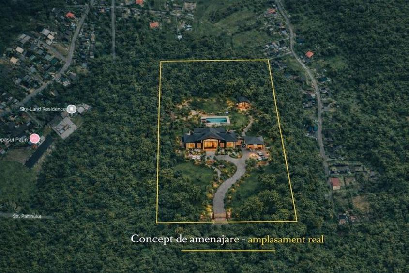 Oportunitate Investiție: 10.000 mp în Inima Naturii,Bucium Păun - 2