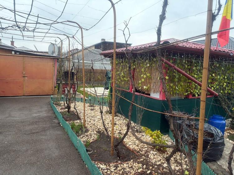 Casa de inchiriat Campina - 5