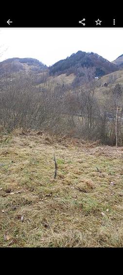 Teren Riu Sadului - 2 ha Acces stradal , zona cu potential turistic - 1