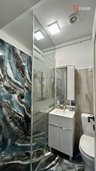 Apartament de inchiriat cu 2 camere in centrul Timisoarei - 9