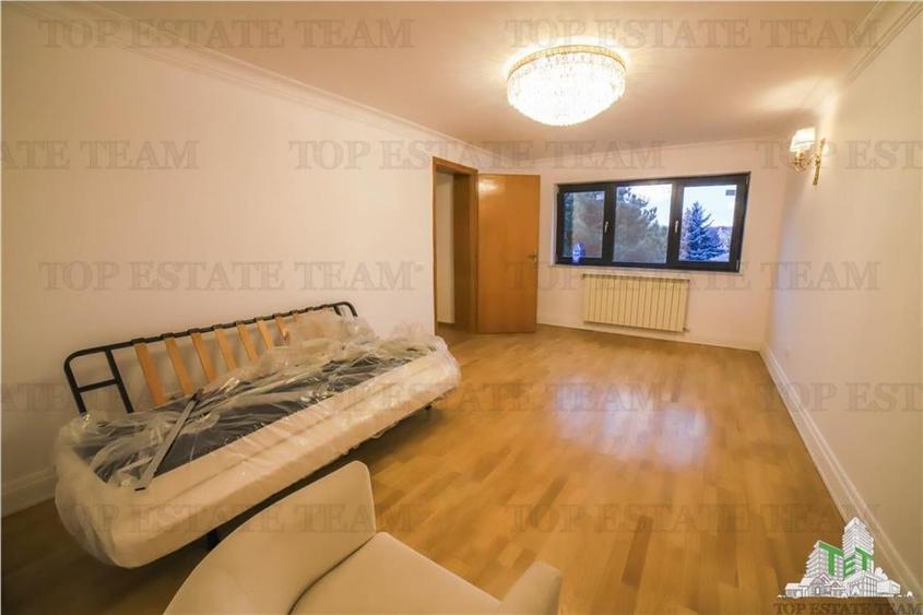 Vila pretabila rezidenta/office Iancu Nicolae - 2