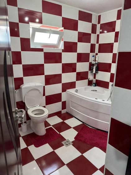 Vila Salatrucel Valcea - 8