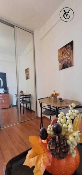 Garsoniera Cismigiu - 3